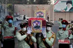 دذتد
