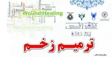 همایش ترمیم زخم فردا برگزار می‌شود