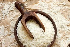 کشت ۵۰۰ هکتار برنج بهاره در چرام/ پیش‌بینی برداشت ۱۰ تن در هکتار