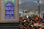 ماهی قرمز و سبزه شب عید