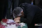 دبب