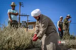 فیروز کوه