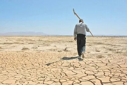 پوشش گیاهی اراضی ملی سمنان رو به خشکی است