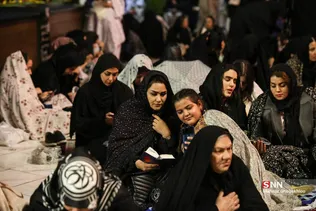 دبب