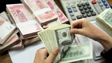 جزئیات نرخ رسمی انواع ارز / قیمت یورو و پوند بدون تغییر باقی ماند