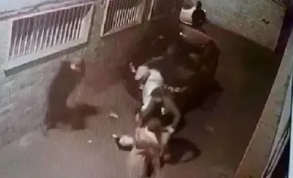 واکنش پلیس به انتشارفیلم زورگیری از دو زن/ سارقان قمه&zwnj;به&zwnj;دست دستگیر شدند