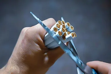 ایجاد مدارسی برای آموزش مهارت‌های شغلی، سلامتی و شادابی
