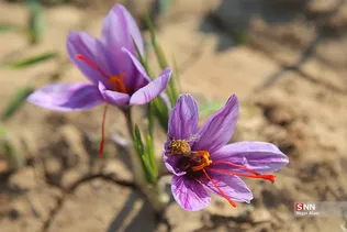 324324