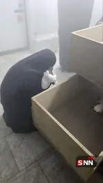 غت5قغ