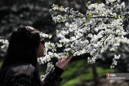 شکوفه&zwnj;های بهاری تهران در روز طبیعت