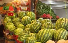 قیمت میوه کاهش می‌یابد