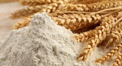 از راه&zwnj;اندازی آکادمی ملی نان در جنوب شهر تهران تا تشخیص جهش ژنتیکی تنها با چند قطره خون