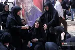 دبب