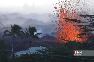 new