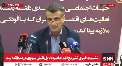 معاون محیط زیست: عامل ۹۰ درصد آتش&zwnj;سوزی جنگل&zwnj;ها انسانی است + فیلم
