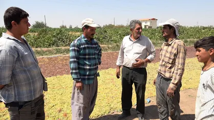 تیزر &laquo;بارگادون&raquo; منتشر شد/ مستندی درباره آداب خوشه&zwnj;چینی انگور