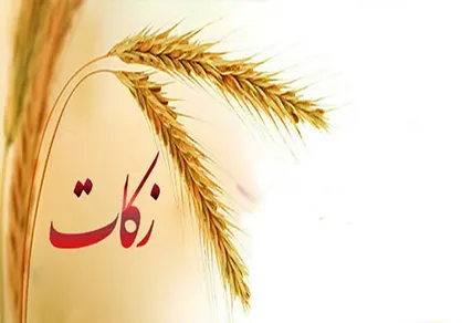 ۷۹ میلیارد تومان زکات در زنجان جمع&zwnj;آوری شد