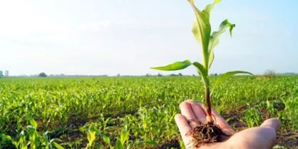 فرآوری زیستی محصولات غذایی و کشاورزی با اجرای بیش از ۲۰۰ پروژه گسترش می&zwnj;یابد