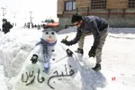 دبب