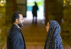 پناهندگی از غربت به پیشگاه امام رئوف
