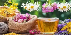 ۲ دمنوش ساده و ارزان بهاری و خواص آن‌ها را بیشتر بشناسید