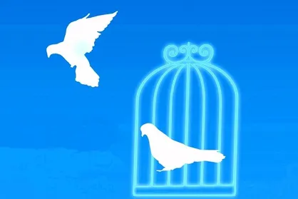 نجات محکوم به قصاص با رضایت اولیای دم از چوبه دار