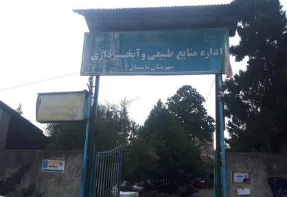۳۶ پرونده قاچاق چوب و ۷۴ مترمکعب چوب ضبط&zwnj;شده/ تلاش ماسال برای حفاظت از جنگل&zwnj;ها