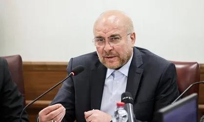 رئیس مجلس با خانواده شهدای حمله تروریستی حرم شاهچراغ دیدار کرد