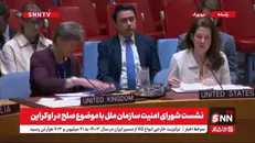 نماینده چین: بحران اوکراین تنها از راه‌حل سیاسی قابل پایان است/ نماینده انگلیس: در کنار اوکراین ایستاده‌ایم+فیلم