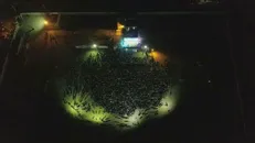 مقصر حادثه قطع برق بوشهر باید شناسایی شود/ هیچ انقلابی حاضر به ایجاد مشکل برای مردم نیست