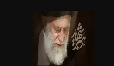 تصاویری منتشر نشده از دیدارهای صمیمانه خانواده‌های معظم شهدا با رهبر شهید انقلاب + فیلم