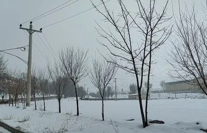 بارش برف در تهران ادامه دارد