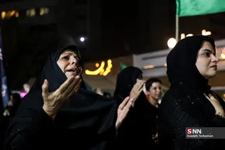 دبب