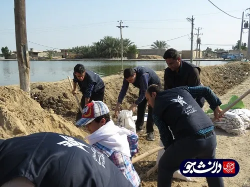 فعالیت جهادگران قرارگاه جهادی دانشگاه آزاد خوزستان در منطقه سیل زده شادگان