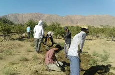 حضور دانشجویان جهادی شریف در نهبندان با ۳ پروژه عمرانی/ اردوی دانشجویان دختر از ۵ مرداد آغاز می‌شود