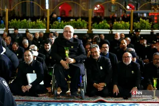 دبب