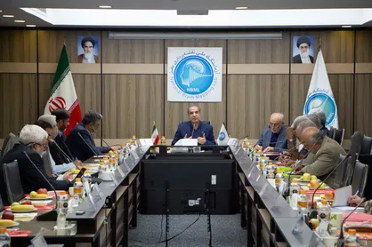 علوم شناختی در خدمت حکمرانی هوشمند؛ شورای راهبردی آزمایشگاه نقشه&zwnj;برداری مغز آغاز به کار کرد