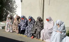 باند زنان جیب بر در چنگال پلیس