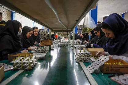 زنجان در صدر شاخص&zwnj;های بازار کار قرار دارد