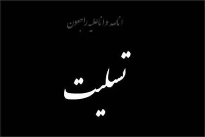 پیام تسلیت معاونت اجتماعی ناجا در پی وقوع سانحه رانندگی در محور ارومیه- نقده و فوت دو خبرنگار