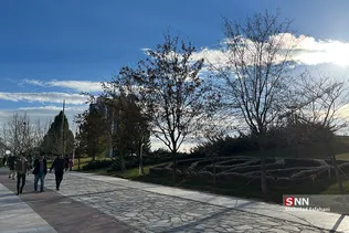 new