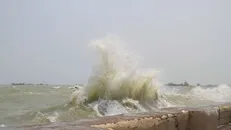 وزش باد شدید و مواج شدن دریا در هرمزگان تا دوشنبه