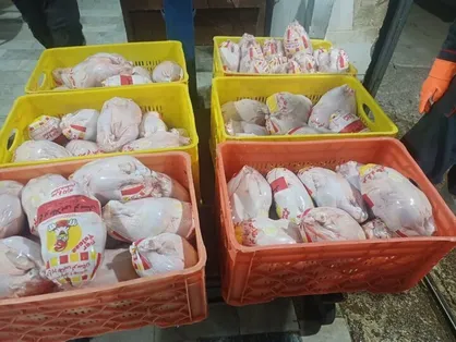 تأکید جهاد کشاورزی خرم&zwnj;آباد بر استمرار عرضه بی&zwnj;وقفه مرغ در بازار