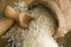 آغاز واردات برنج از ابتدای آذرماه/ دبیر انجمن واردکنندگان: قیمت کاهش می‌باید