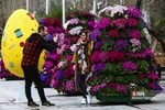 نوروز کرونایی