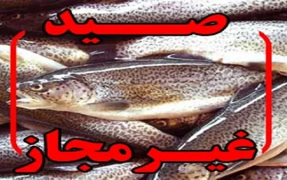 دستگیری چهار صیاد متخلف در دریاچه چم&zwnj;شیر گچساران