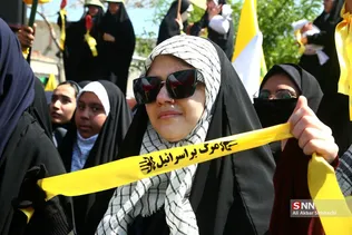 دبب