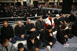 دبب