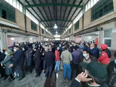 با فروشندگانی که مرغ را بالاتر از قیمت مصوب می‌فروختند، برخورد قانونی شد