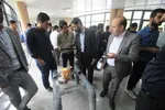 نمایشگاه